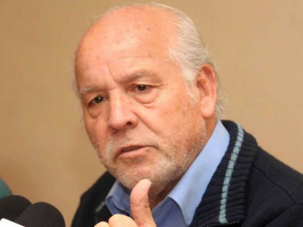 Raúl de la Puente, presidente nacional ANEF.